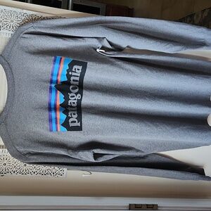Patagonia Long Sleeve T-Shirt sz L Gray Mountain Logo Outdoor Hiking